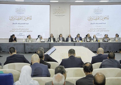 تصوير: أحمد عبد الفتاح